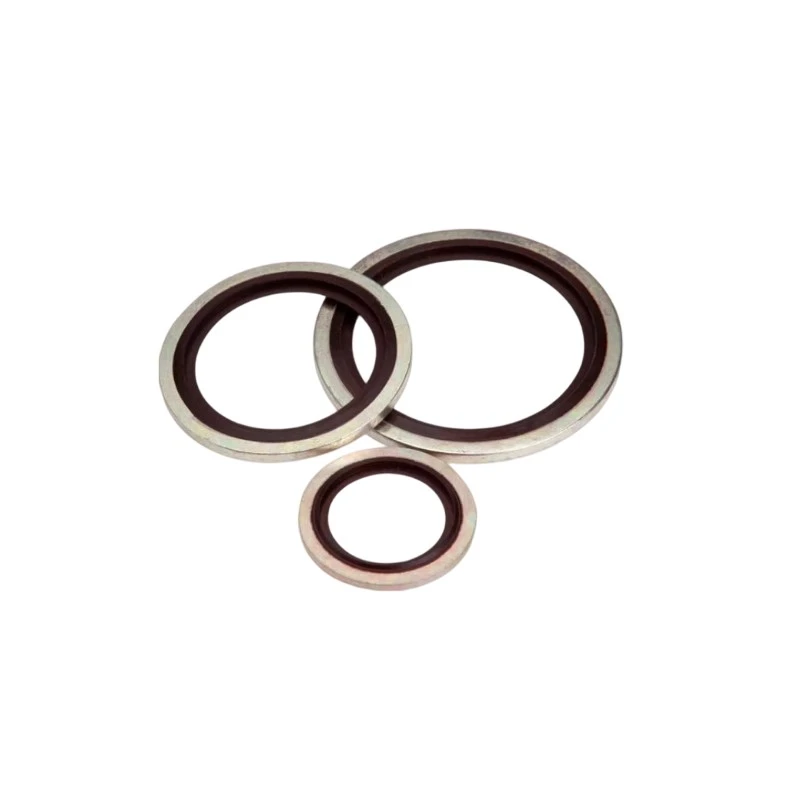 NBR Carbon Steel Bonded Seal-2